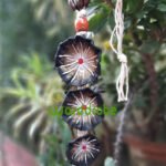 Handmade Fabric Jewellery Set